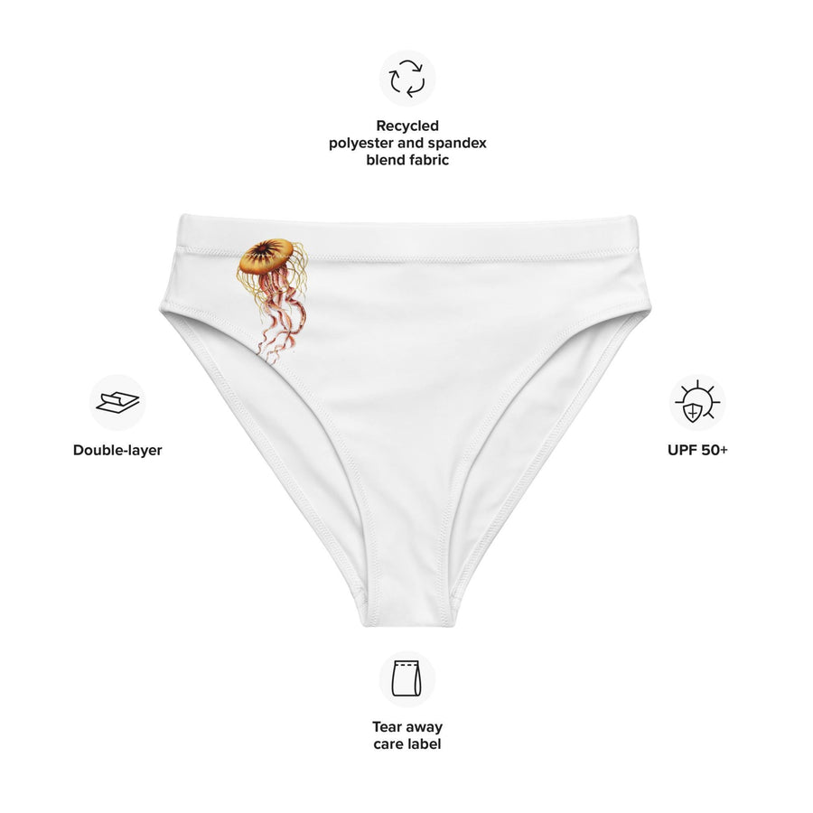 Minimalist Jellyfish Bikini Bottoms, Chrysaora mediterranea, Ernst Haeckel, Recycled High-Waisted Swimwear, Eco-Friendly Ocean-Inspired