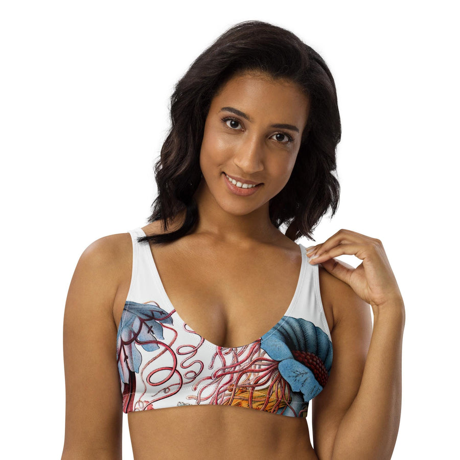 Discomedusae Bikini Top | Ernst Haeckel Jellyfish Art | Recycled Padded Swimwear | Eco-Friendly Scientific Illustration Print