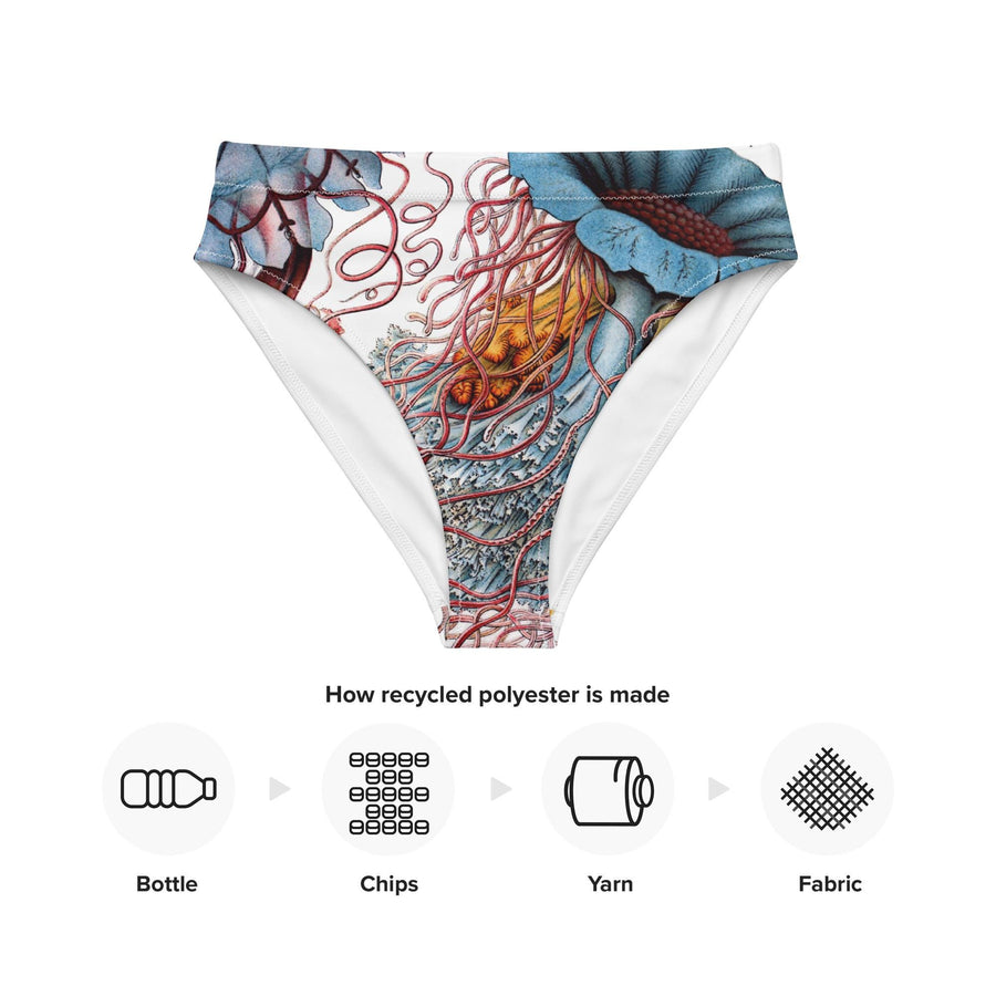 Discomedusae Jellyfish Bikini Bottoms | Haeckel Recycled High-Waisted Swimwear | Eco-Friendly Vintage Marine Art