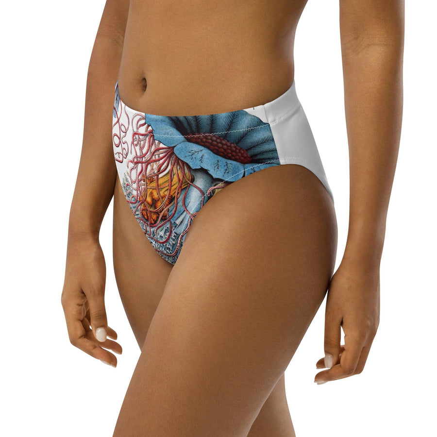 Discomedusae Jellyfish Bikini Bottoms | Haeckel Recycled High-Waisted Swimwear | Eco-Friendly Vintage Marine Art