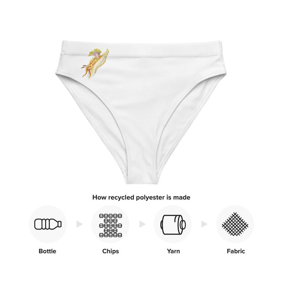 Nudibranch-4 choices-High-Waisted Bikini Bottoms | Ernst Haeckel Sea Slug Print | Recycled Eco-Friendly Swimwear Swimsuit Bottom