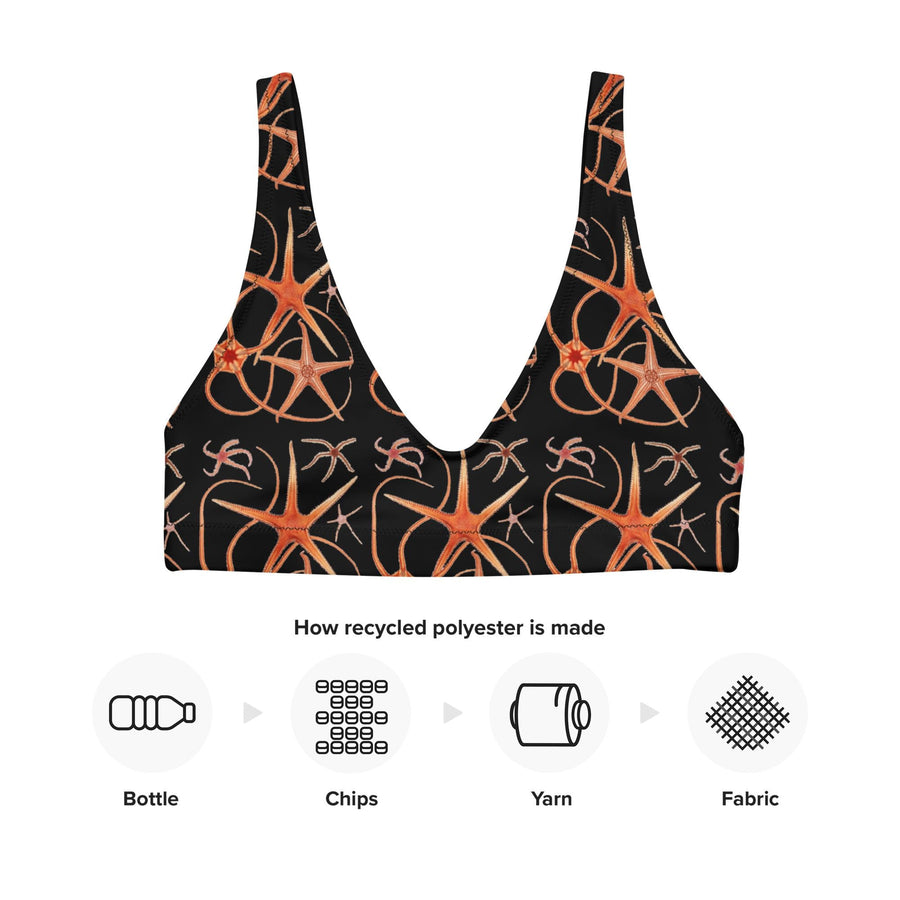 Asteroidea Starfish Black Bikini Top | Recycled Padded Swimwear with Vintage Albert I Illustration | Eco-Friendly Marine Life Pattern