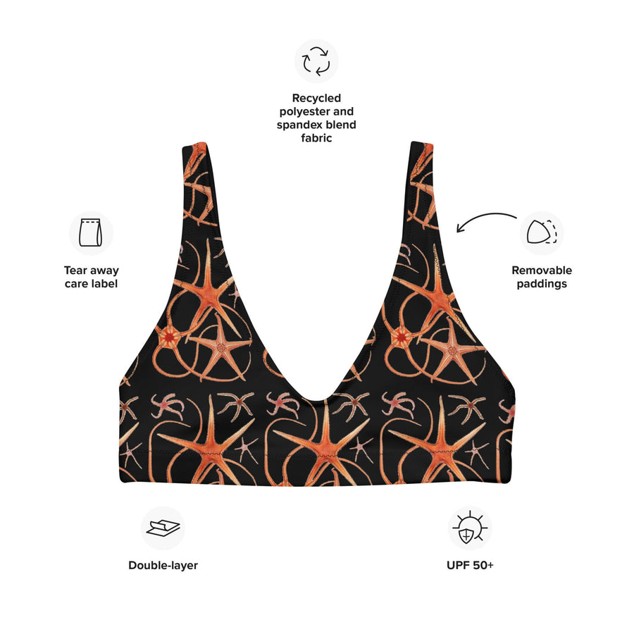 Asteroidea Starfish Black Bikini Top | Recycled Padded Swimwear with Vintage Albert I Illustration | Eco-Friendly Marine Life Pattern