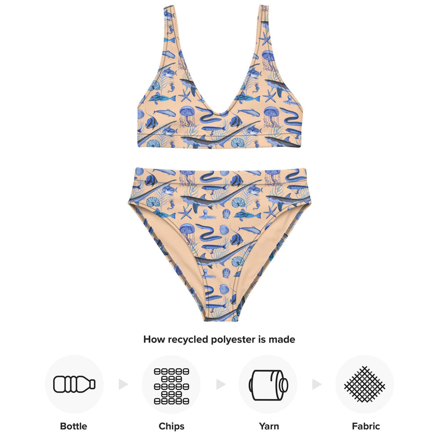 Deep Blue Ocean Creatures Bikini top, Vintage Fish Pattern by Adolphe Millot, All-Over Print bathing top, Sustainable Swimwear SAND