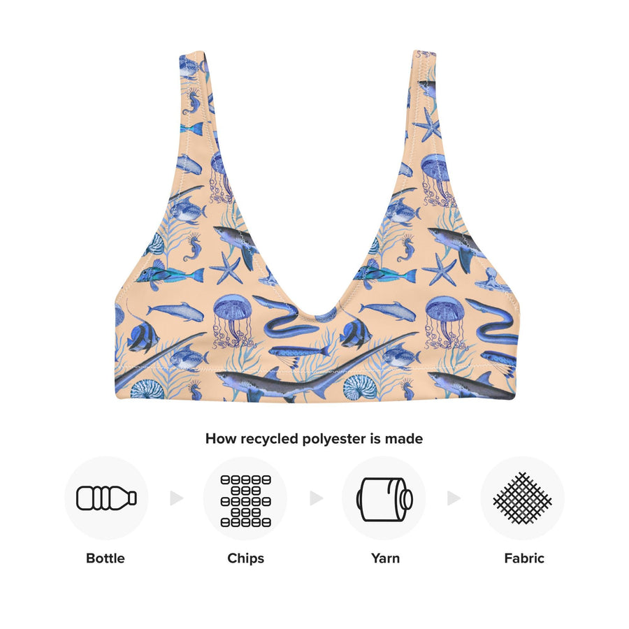 Deep Blue Ocean Creatures Bikini Top, Vintage Fish Pattern by Adolphe Millot, All-Over Print Bathing Suit Top, Sustainable Swimwear SAND