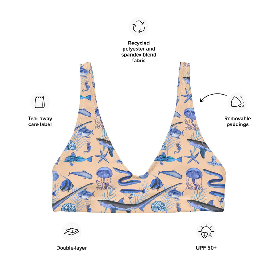 Deep Blue Ocean Creatures Bikini Top, Vintage Fish Pattern by Adolphe Millot, All-Over Print Bathing Suit Top, Sustainable Swimwear SAND