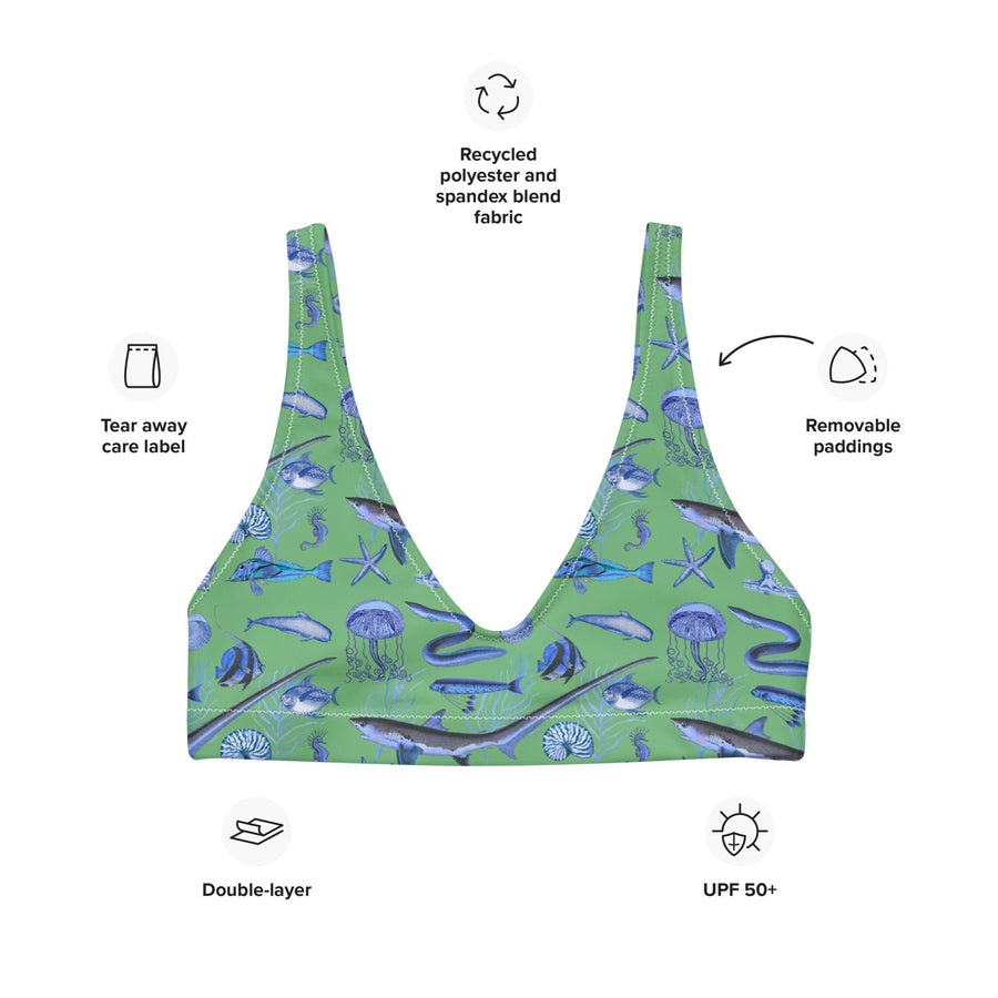 Deep Blue Ocean Creatures Bikini Top, Vintage Fish Pattern by Adolphe Millot, All-Over Print Bathing Suit Top, Sustainable Swimwear SEAFOAM