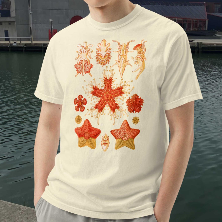 Asteridea Starfish T-Shirt, Ernst Haeckel Sea Star Art, Restored Vintage Marine Biology Print, Comfort Colors 1717 Shirt, Ocean Lover Gift