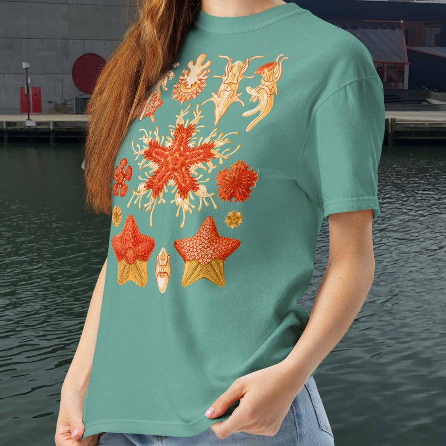 Asteridea Starfish T-Shirt, Ernst Haeckel Sea Star Art, Restored Vintage Marine Biology Print, Comfort Colors 1717 Shirt, Ocean Lover Gift