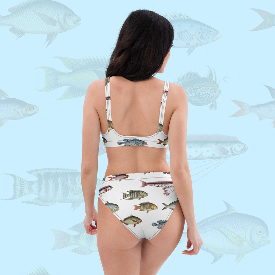 Vintage Fish Recycled Bikini, All-Over Print High-Waisted Swim Set, Bloch Ichthyology Art, Eco-Friendly UPF 50+ Swimwear