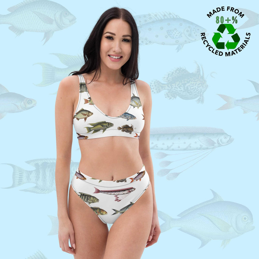 Vintage Fish Recycled Bikini, All-Over Print High-Waisted Swim Set, Bloch Ichthyology Art, Eco-Friendly UPF 50+ Swimwear