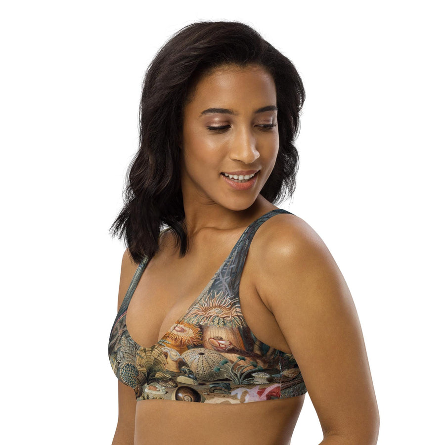 Ocean Life Recycled Bikini Top | James M. Sommerville 1859 Submarine Art | Vintage Marine Watercolor | Eco-Friendly Padded Swimwear