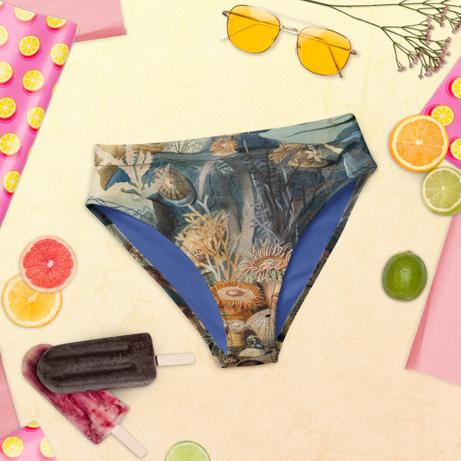 Ocean Life High-Waisted Bikini Bottoms | James M. Sommerville 1859 Art | Vintage Submarine Illustration | Recycled Eco-Friendly Swimwear