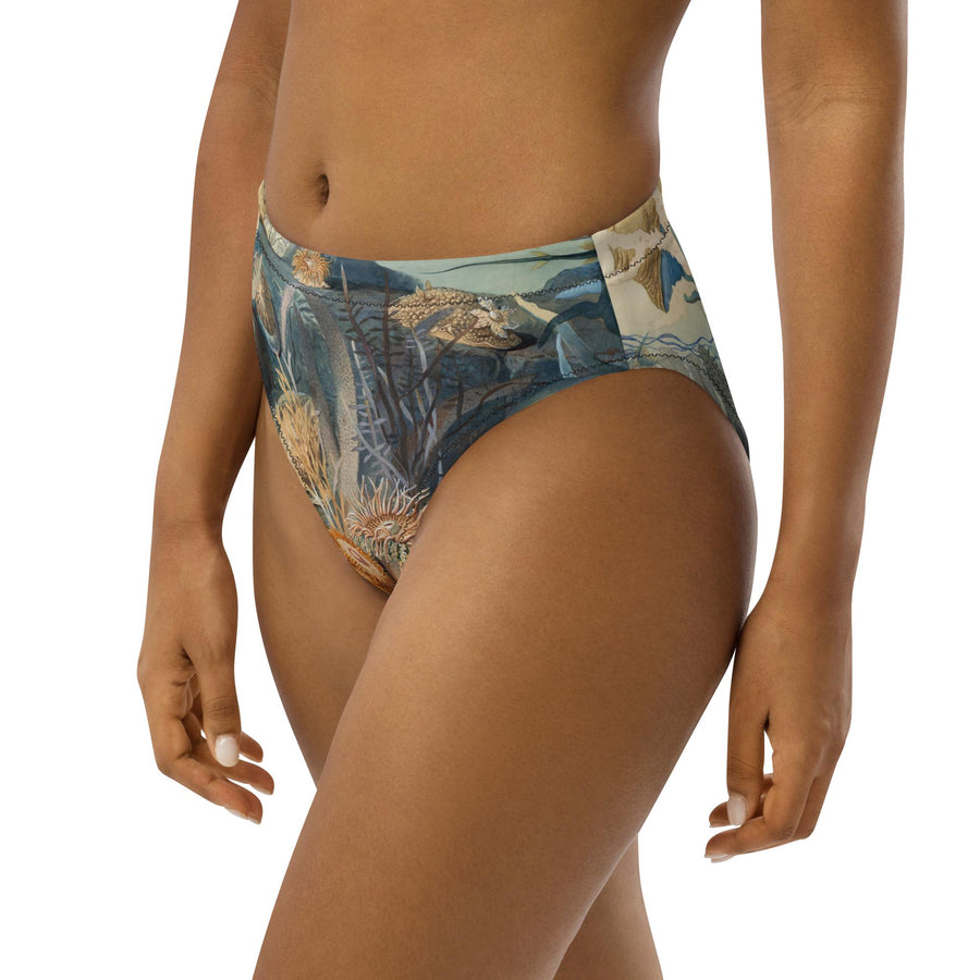 Ocean Life High-Waisted Bikini Bottoms | James M. Sommerville 1859 Art | Vintage Submarine Illustration | Recycled Eco-Friendly Swimwear
