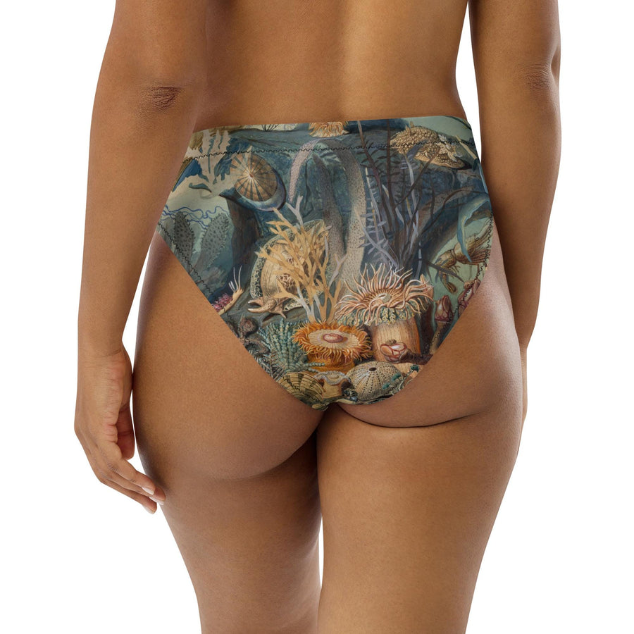 Ocean Life High-Waisted Bikini Bottoms | James M. Sommerville 1859 Art | Vintage Submarine Illustration | Recycled Eco-Friendly Swimwear