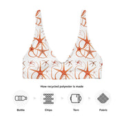Asteroidea Starfish Bikini Top | Recycled Padded Swimwear with Vintage Albert I Illustration | Eco-Friendly Marine Life Pattern