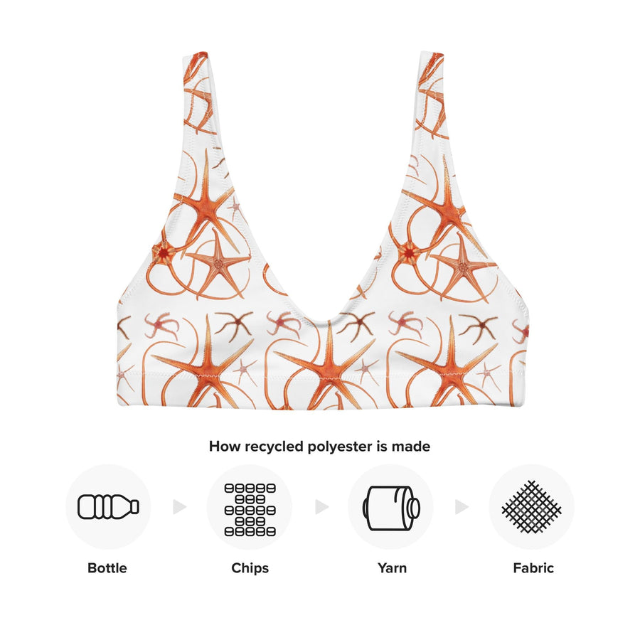 Asteroidea Starfish Bikini Top | Recycled Padded Swimwear with Vintage Albert I Illustration | Eco-Friendly Marine Life Pattern