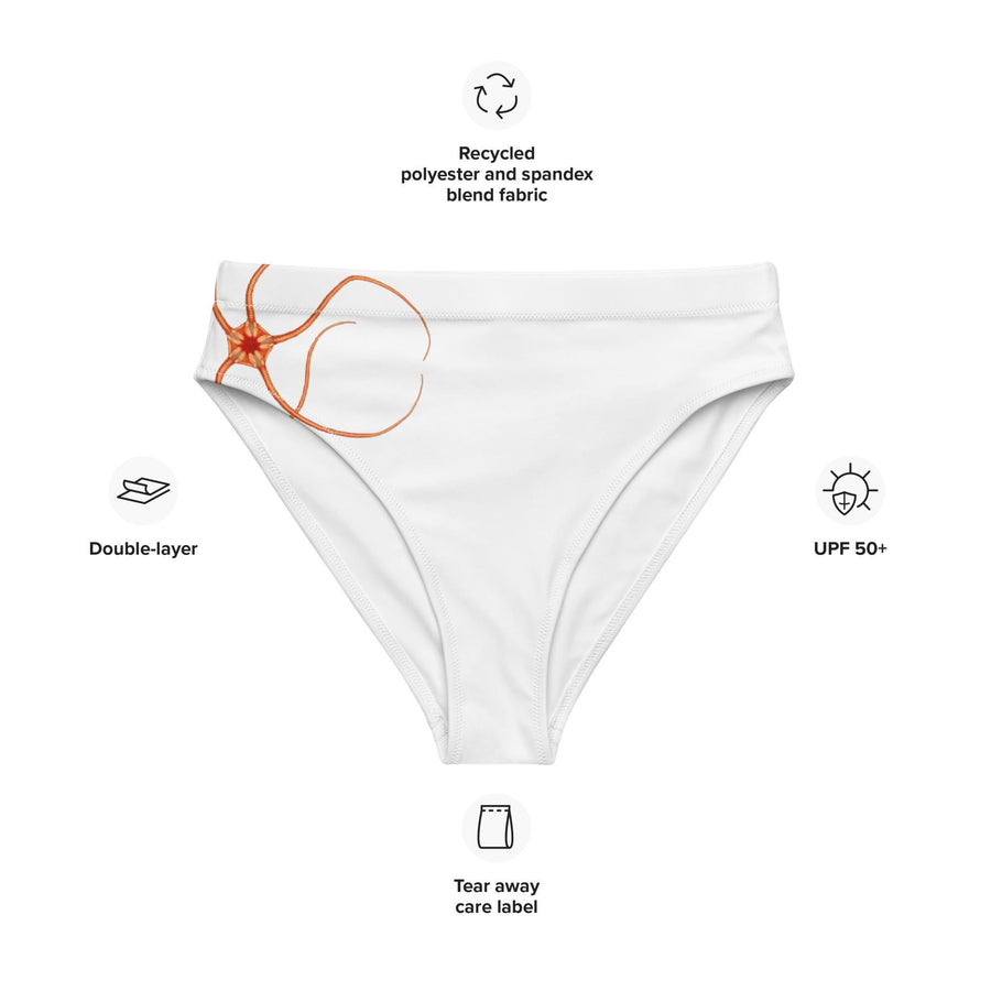 Orange Starfish Bikini Bottoms | Ophiopleura borealis by Prince Albert of Monaco | Recycled High-Waisted Swimwear | Eco-Friendly Marine Art