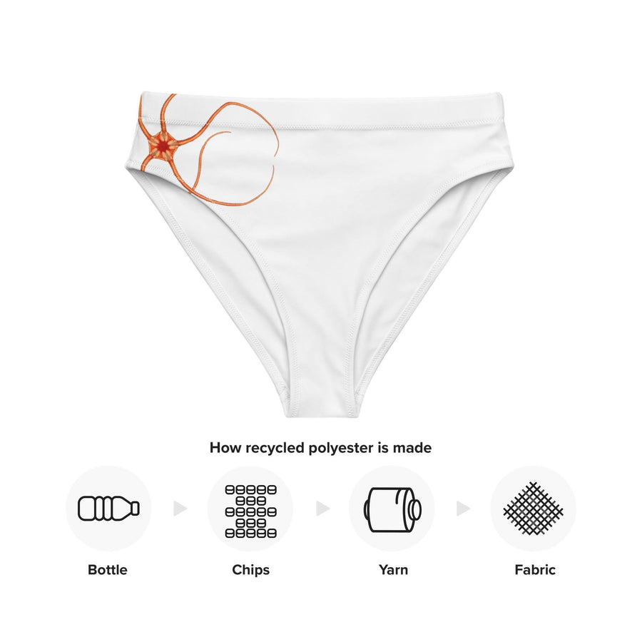 Orange Starfish Bikini Bottoms | Ophiopleura borealis by Prince Albert of Monaco | Recycled High-Waisted Swimwear | Eco-Friendly Marine Art