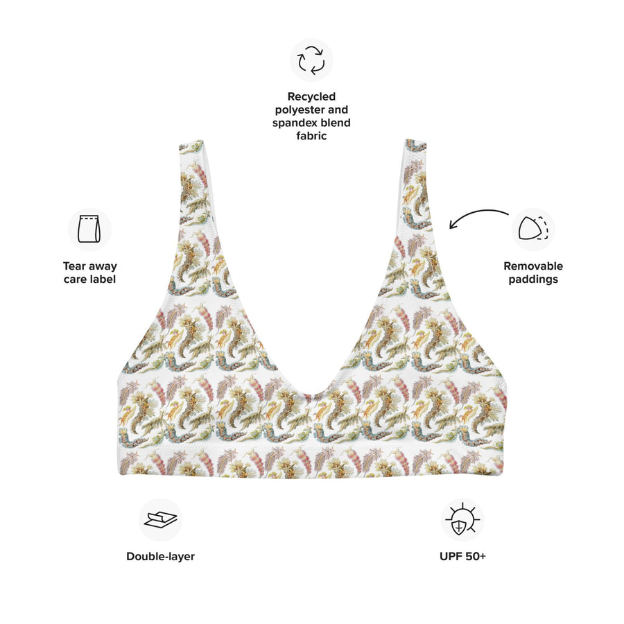 Nudibranchia Bikini Top | Recycled Padded Swimwear Featuring Ernst Haeckel&#39;s Sea Slugs | Eco-Friendly Vintage Ocean Pattern