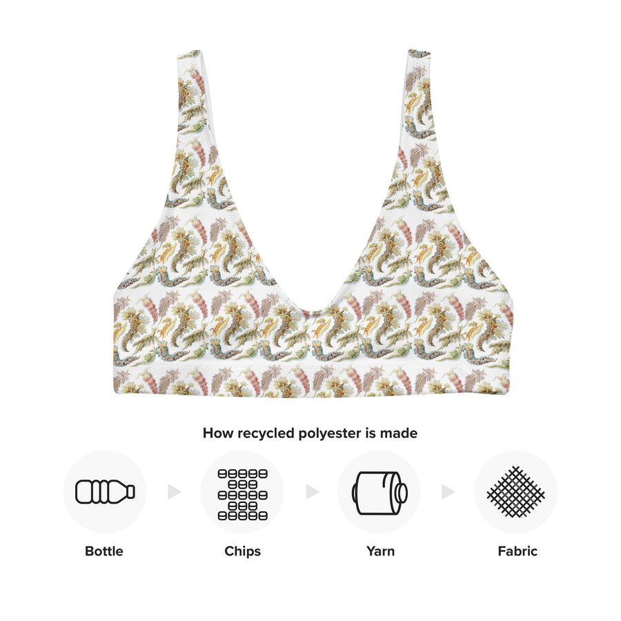 Nudibranchia Bikini Top | Recycled Padded Swimwear Featuring Ernst Haeckel&#39;s Sea Slugs | Eco-Friendly Vintage Ocean Pattern
