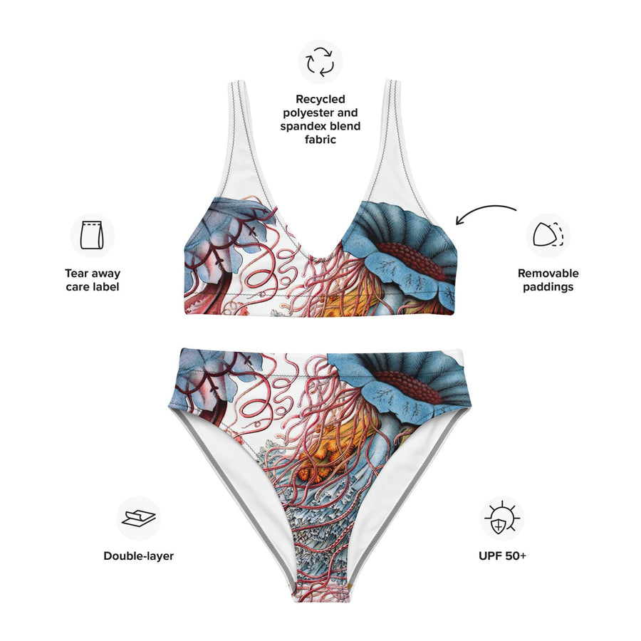 Discomedusae Jellyfish Bikini Set | Ernst Haeckel Two-Piece Swimsuit | Recycled Eco-Friendly Swimwear | Vintage Marine Biology Art