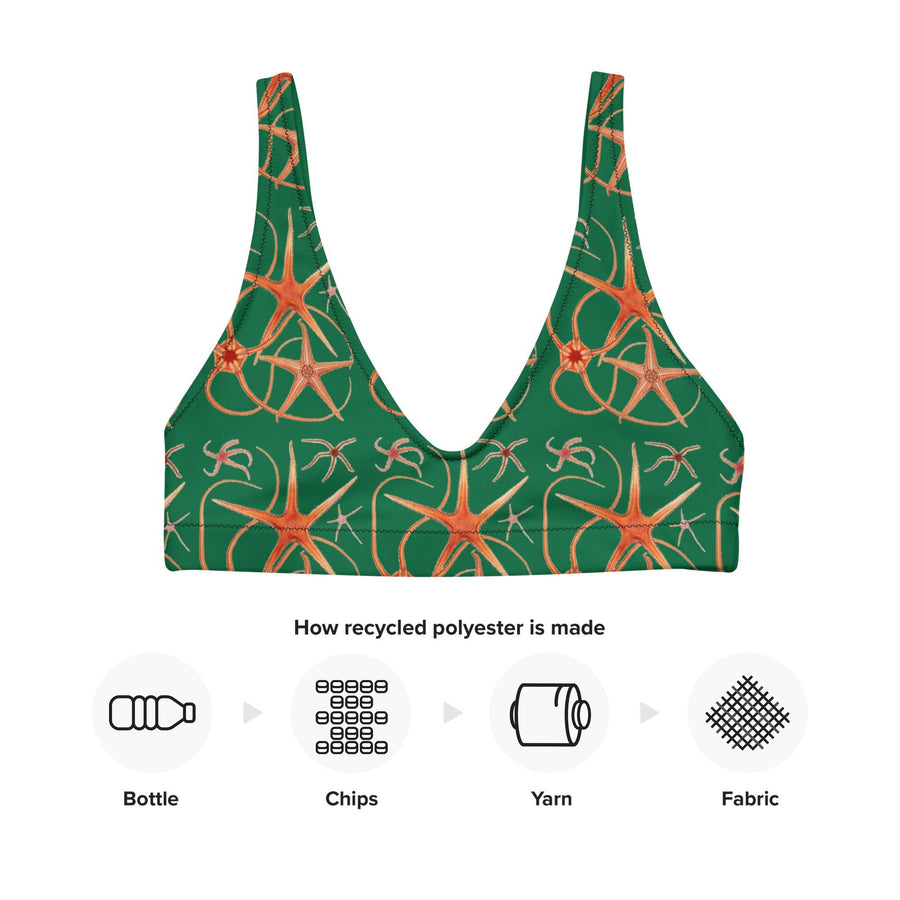 Asteroidea Starfish Green Bikini Top | Recycled Padded Swimwear with Vintage Albert I Illustration | Eco-Friendly Marine Life Pattern