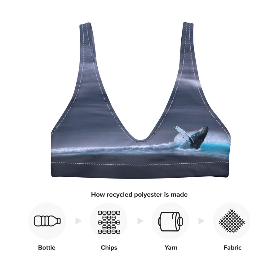 Gray Whale Bikini Top | Breaching Whale with Ocean Horizon Print | Recycled Padded Swim Top | Eco-Friendly Marine-Inspired Swimwear