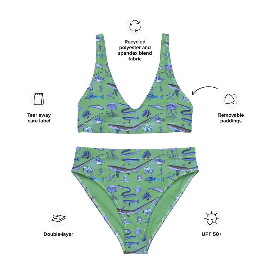 Deep Blue Ocean Creatures Bikini top, Vintage Fish Pattern by Adolphe Millot, All-Over Print bathing top, Sustainable Swimwear Seafoam