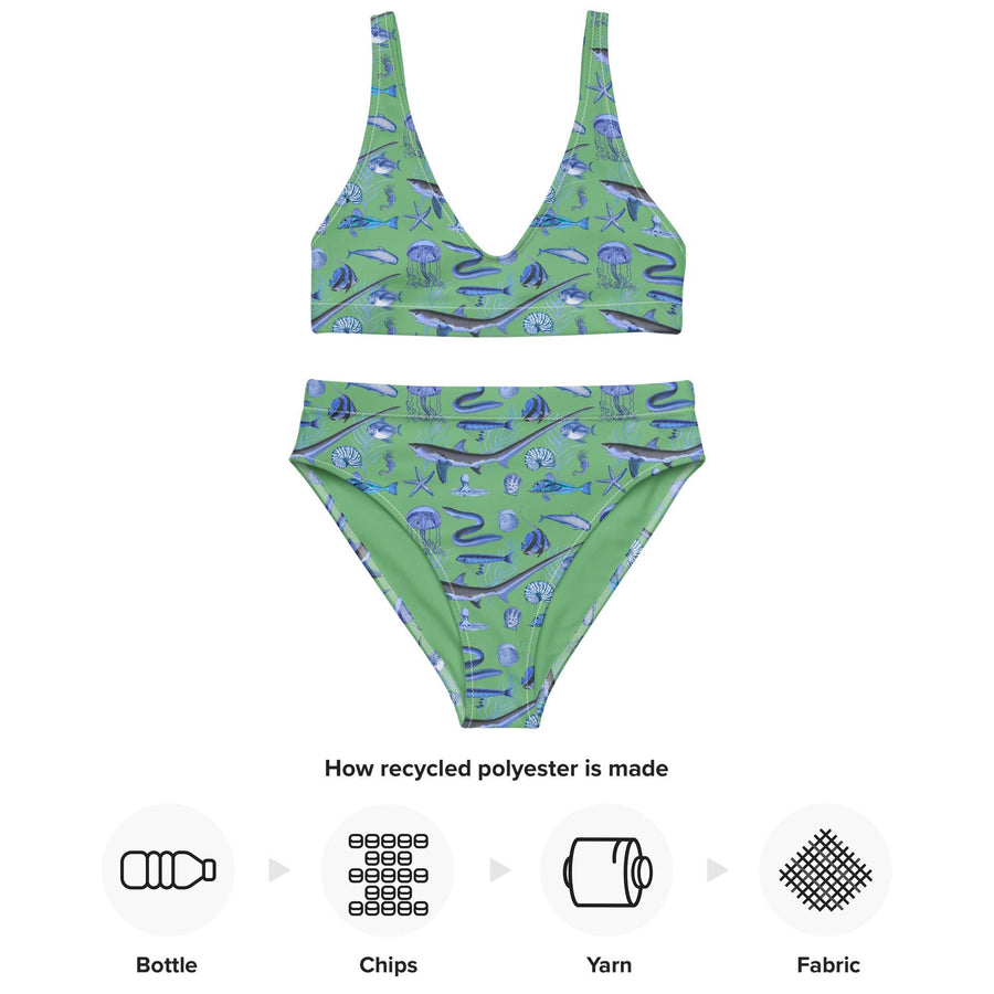 Deep Blue Ocean Creatures Bikini top, Vintage Fish Pattern by Adolphe Millot, All-Over Print bathing top, Sustainable Swimwear Seafoam