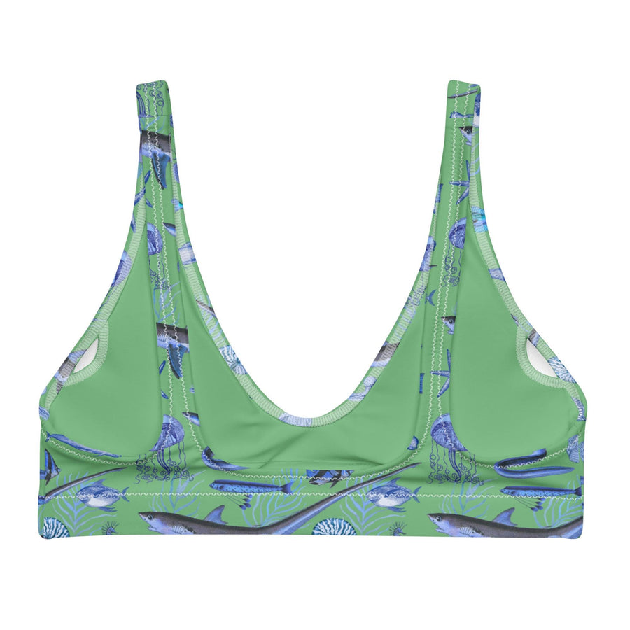 Deep Blue Ocean Creatures Bikini Top, Vintage Fish Pattern by Adolphe Millot, All-Over Print Bathing Suit Top, Sustainable Swimwear SEAFOAM