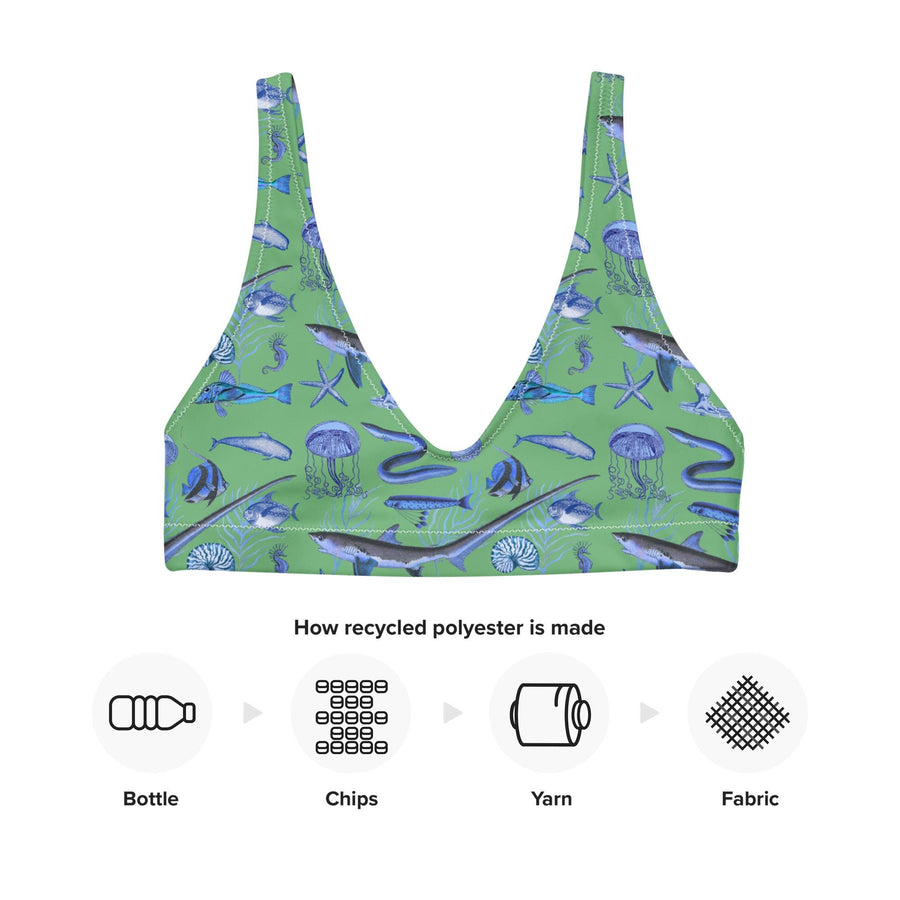 Deep Blue Ocean Creatures Bikini Top, Vintage Fish Pattern by Adolphe Millot, All-Over Print Bathing Suit Top, Sustainable Swimwear SEAFOAM
